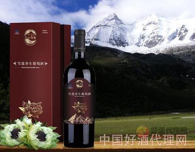 新疆葡萄酒現面臨問題 應逐一解決加快發展優勢