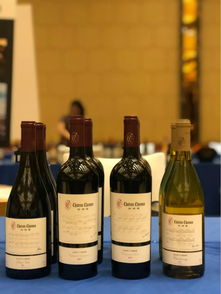 斟知酌鑒葡萄酒聯(lián)盟 攜手中國(guó)精品葡萄酒亮相長(zhǎng)三角葡萄酒文化節(jié)