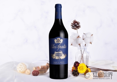 智利十大葡萄酒,你都知道嗎?