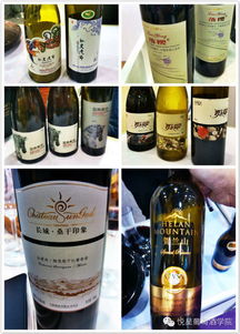 世葡會中國葡萄酒之聲 精品化釀酒思維