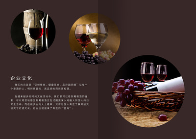 高貴紅酒宣傳畫冊