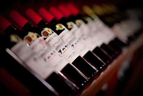 寧夏紅寺堡 中國葡萄酒第一鎮 連續4年斬獲 酒界奧斯卡