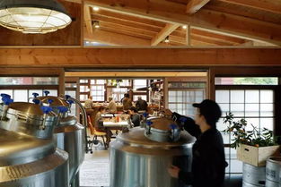 廢品令人驚嘆的可再造性,看看它們?nèi)绾伪挥米鹘ㄖ牧? />
</span>
<span id=