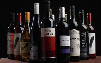 進口酒圈人士必須知道的酒類供需對接會