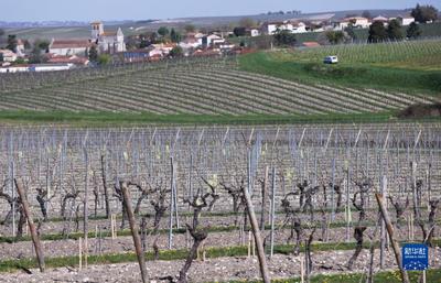 法國干邑:探訪軒尼詩工廠 品葡萄酒之美